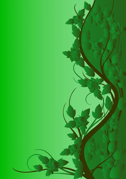 Rosornas gröna mönster — Stockfoto