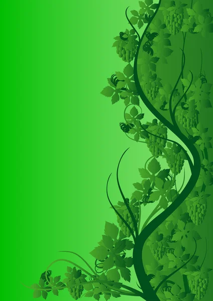 Vzor zelené révy — Stock fotografie