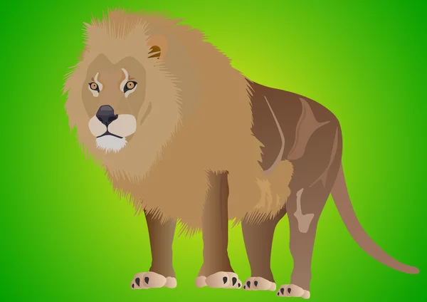 stock image King of beasts - lion