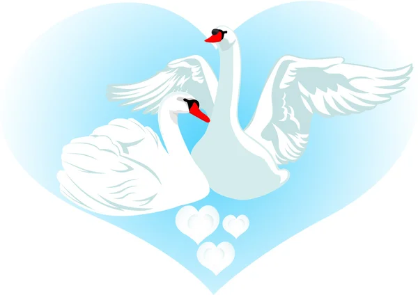 Love and swans — Stock Photo, Image