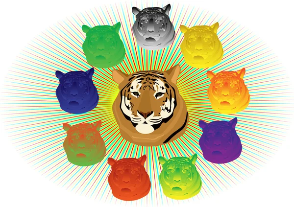 Tigres multicolores — Foto de Stock