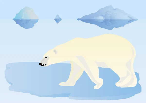 Niedźwiedź polarny na krze lodowej — Zdjęcie stockowe