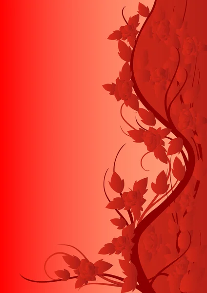 バラの赤のパターン — ストック写真