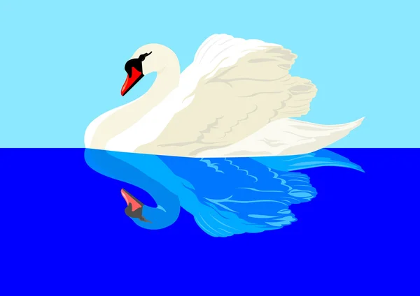 Swan on a pond — Stock Photo, Image