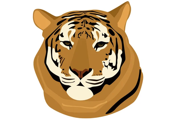 Тигр. — стоковое фото