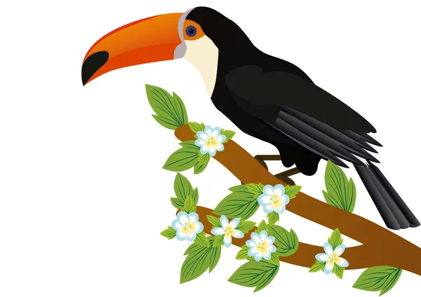 Toucan on a branch with flowers — Stock Photo, Image