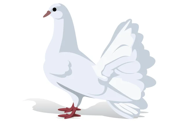 Een witte duif — Stockvector