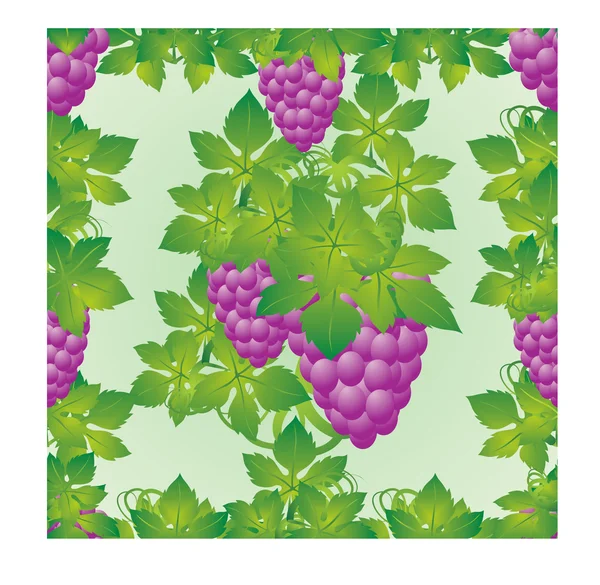 stock vector Grapes