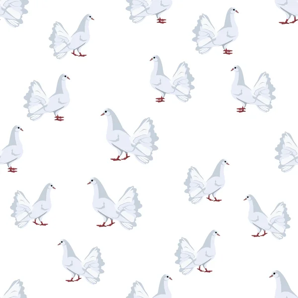 白色的鸽子 — 图库矢量图片