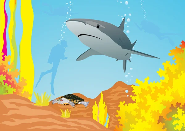 Hai und Taucher — Stockvektor