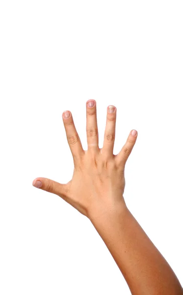 Aislado Cinco dedos mano femenina — Foto de Stock