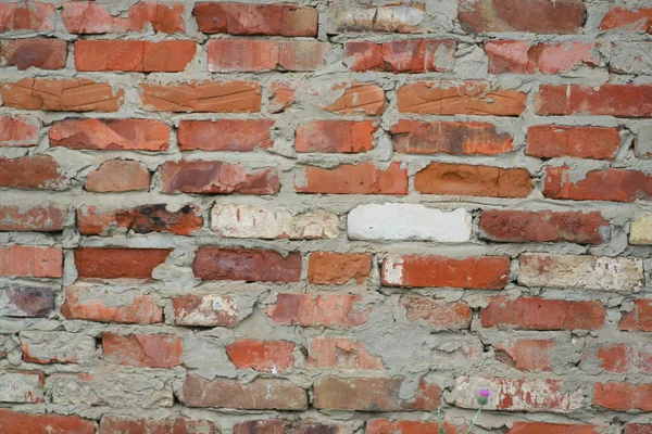 Weathered stained old red brick wall background — Stock Photo, Image