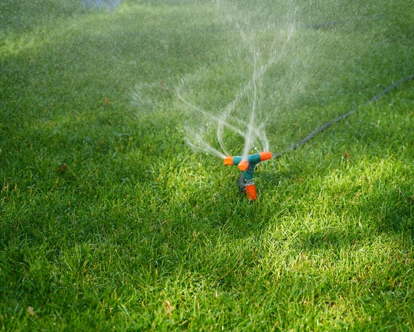 Sprinkler, der Wasser auf Gras sprüht — Stockfoto