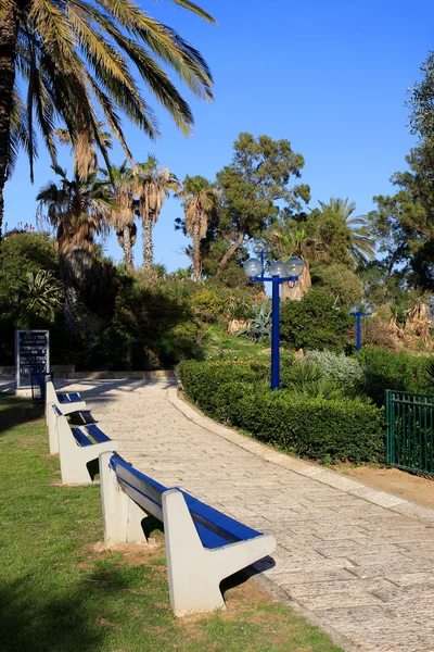 Park in Jaffa — Stockfoto