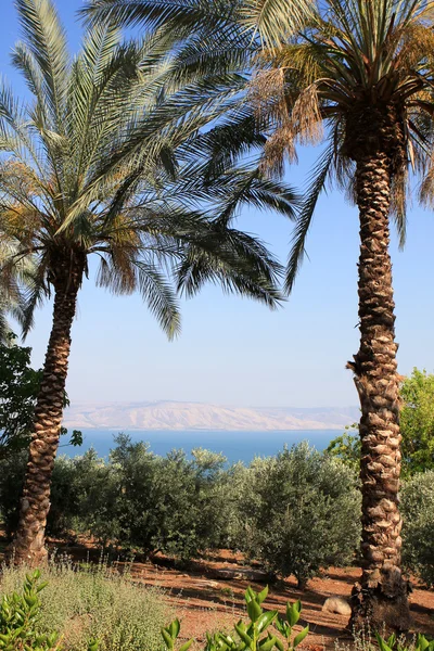 Mar de Galilea — Foto de Stock
