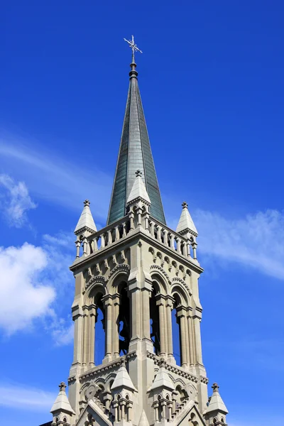 Kerk van st. peter en paul, bern — Stockfoto