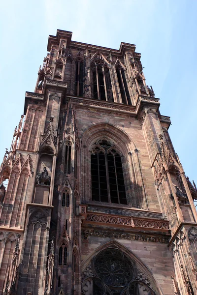 Strazburg Katedrali'ne — Stok fotoğraf