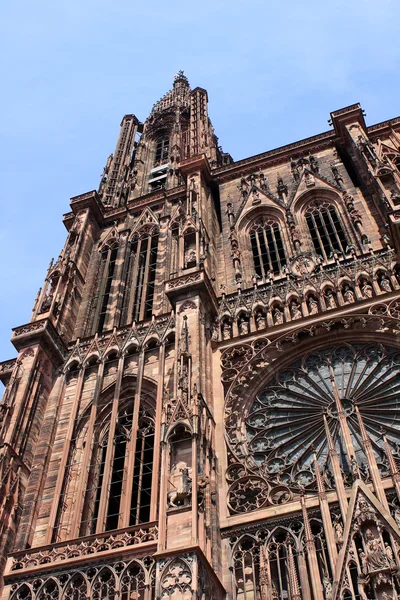 Katedra w Strasburgu — Zdjęcie stockowe