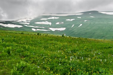 Yaz manzarası