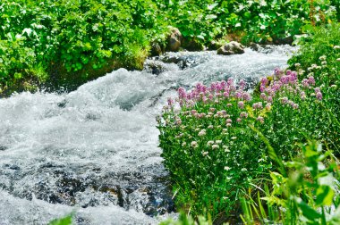 Dağ nehri