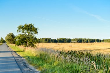 Autumn field clipart