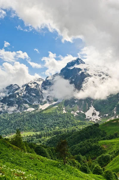 Гірський ландшафт Стокове Фото