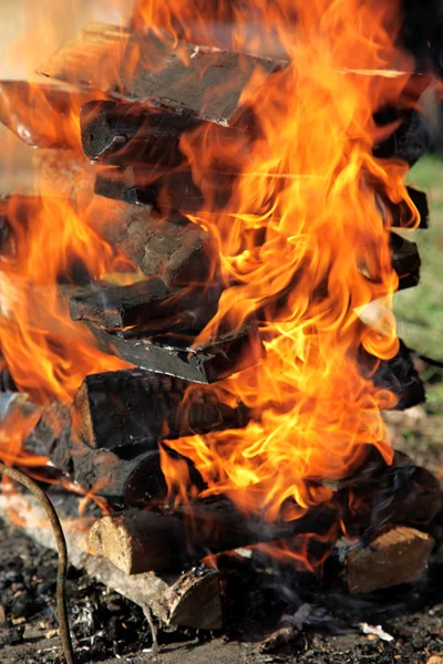 Випалювання по дереву вогонь — стокове фото