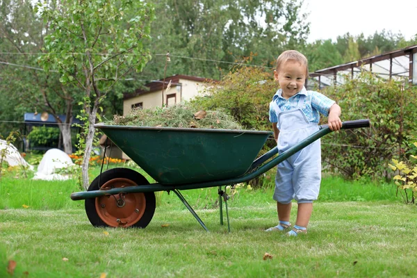 Маленький мальчик толкает тачку в саду — стоковое фото