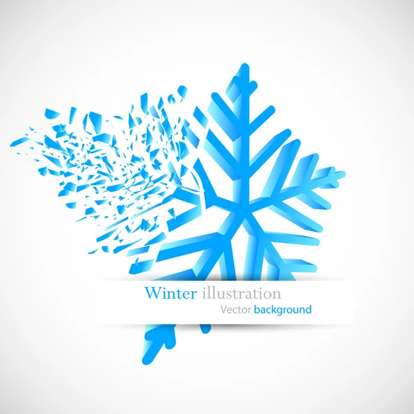 Sneeuwvlok met puin — Stockvector