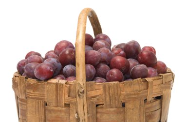 Crop of plums. clipart