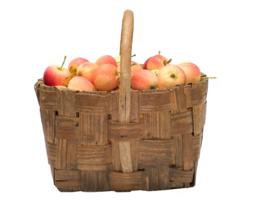 Crop of apples. clipart