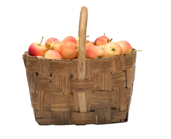 りんごの収穫. — ストック写真