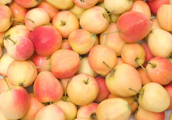 Apples. — Stock Photo, Image