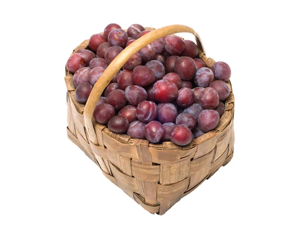 Crop of plums. — Stock Photo, Image