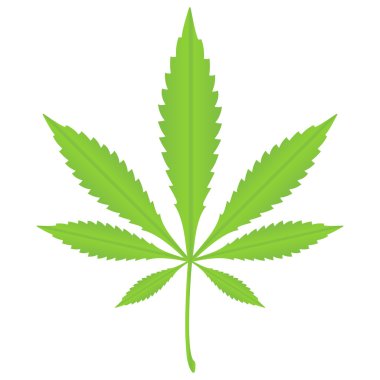 marihuana yaprağı 2