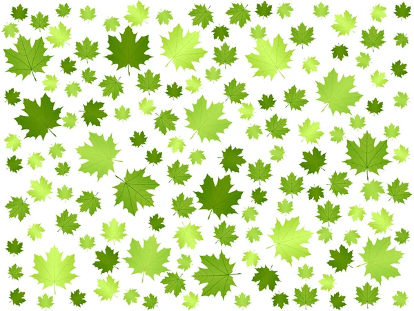 Grönt blad bakgrund — Stock vektor