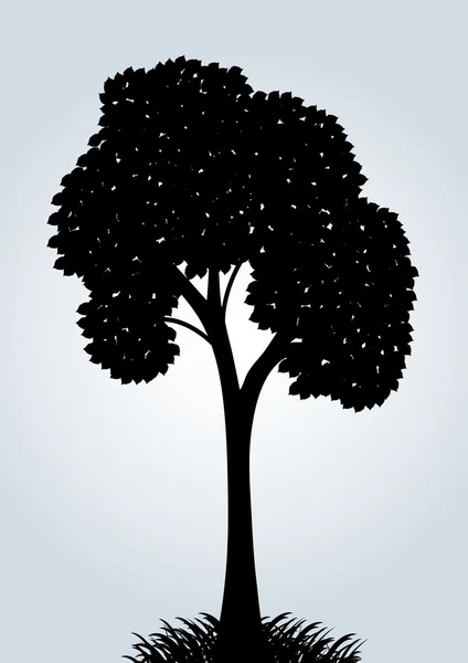 矢量树的剪影 — 图库矢量图片
