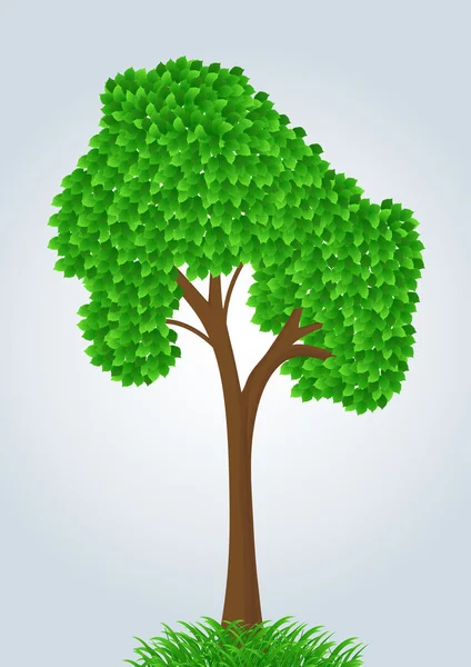 Drzewo lato wektor — Wektor stockowy