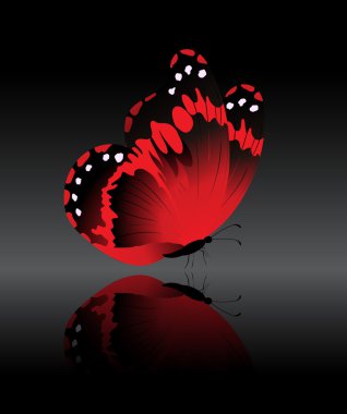 The bright-red butterfly clipart