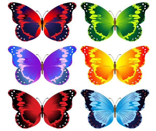 Illustrazione di una serie di farfalle colorate — Vettoriale Stock
