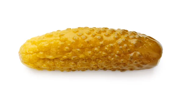 Koperek pickle — Zdjęcie stockowe