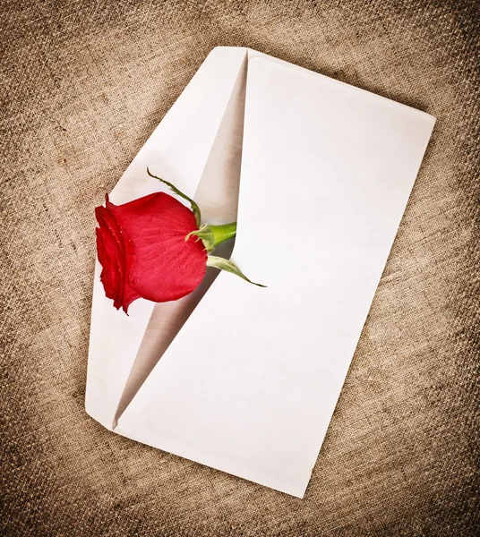 Rosa roja y carta — Foto de Stock