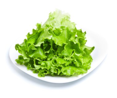 Green Lettuce clipart