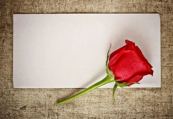 Червона троянда і літера — стокове фото