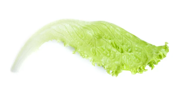 Lechuga verde — Foto de Stock