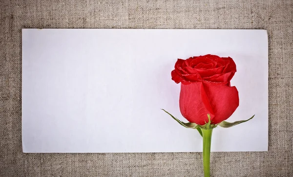 Κόκκινο τριαντάφυλλο και επιστολή — Φωτογραφία Αρχείου