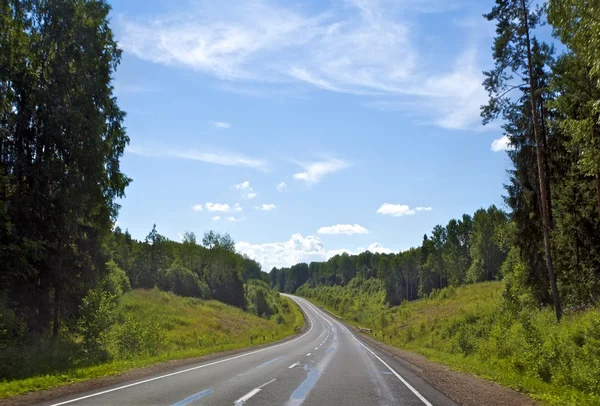 森林の高速道路 — ストック写真