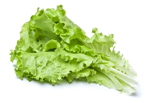 Green Lettuce — Stock Photo, Image