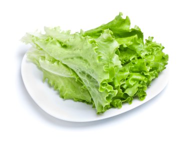 Green Lettuce clipart