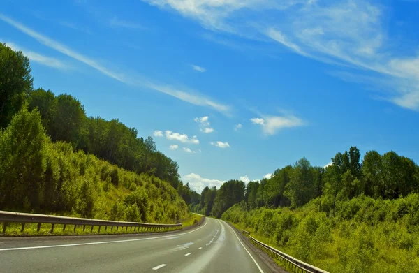 森林の高速道路 — ストック写真